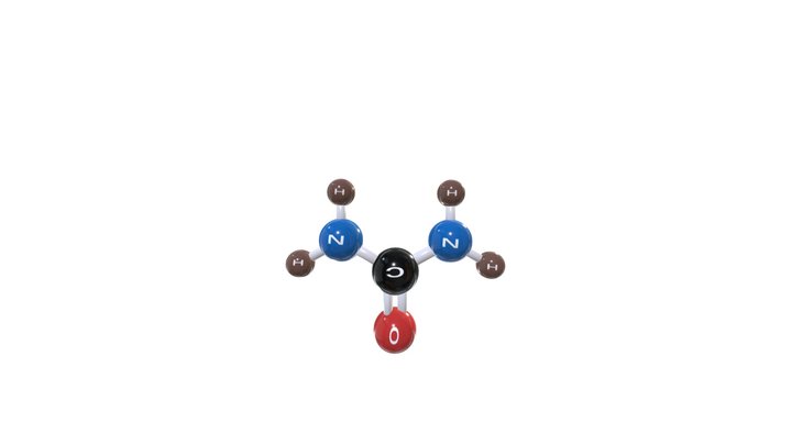 Urea  (CO(NH2)2) 3D Model