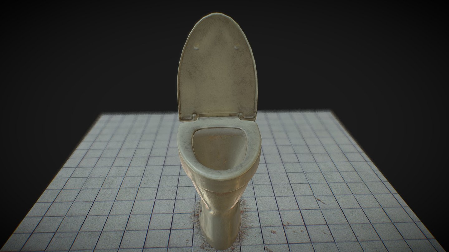 Toilet Floor
