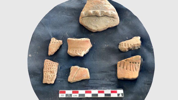 Impressed sherds from Lubaantun 3D Model
