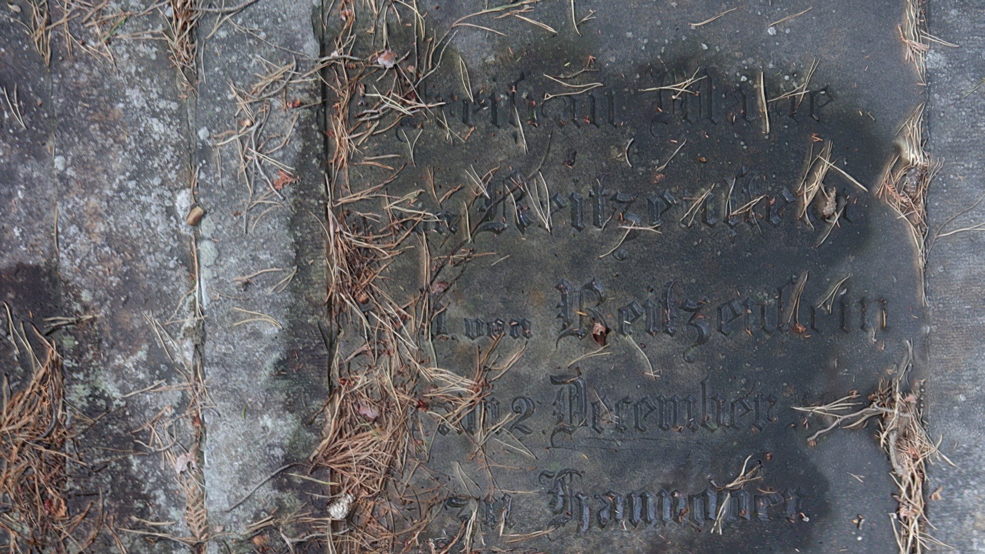 von Reitzenstein