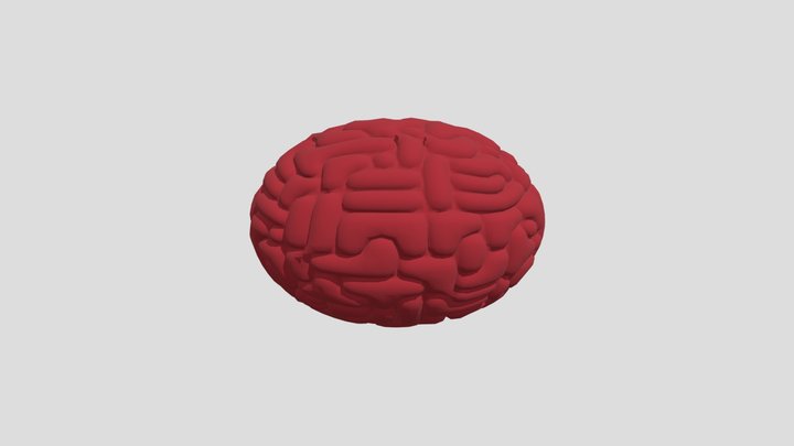 Brain 3D Model