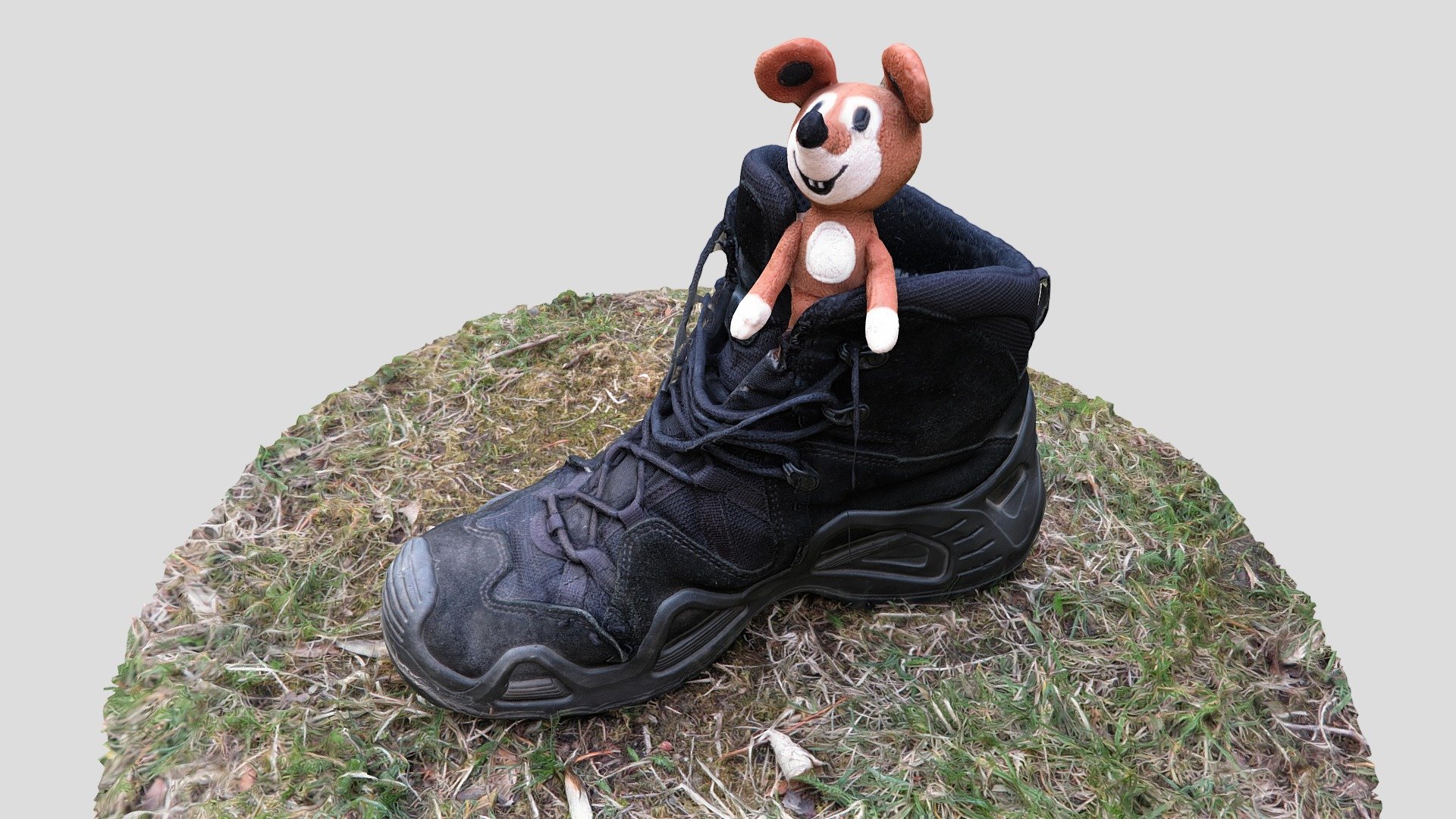 Boot and mouse