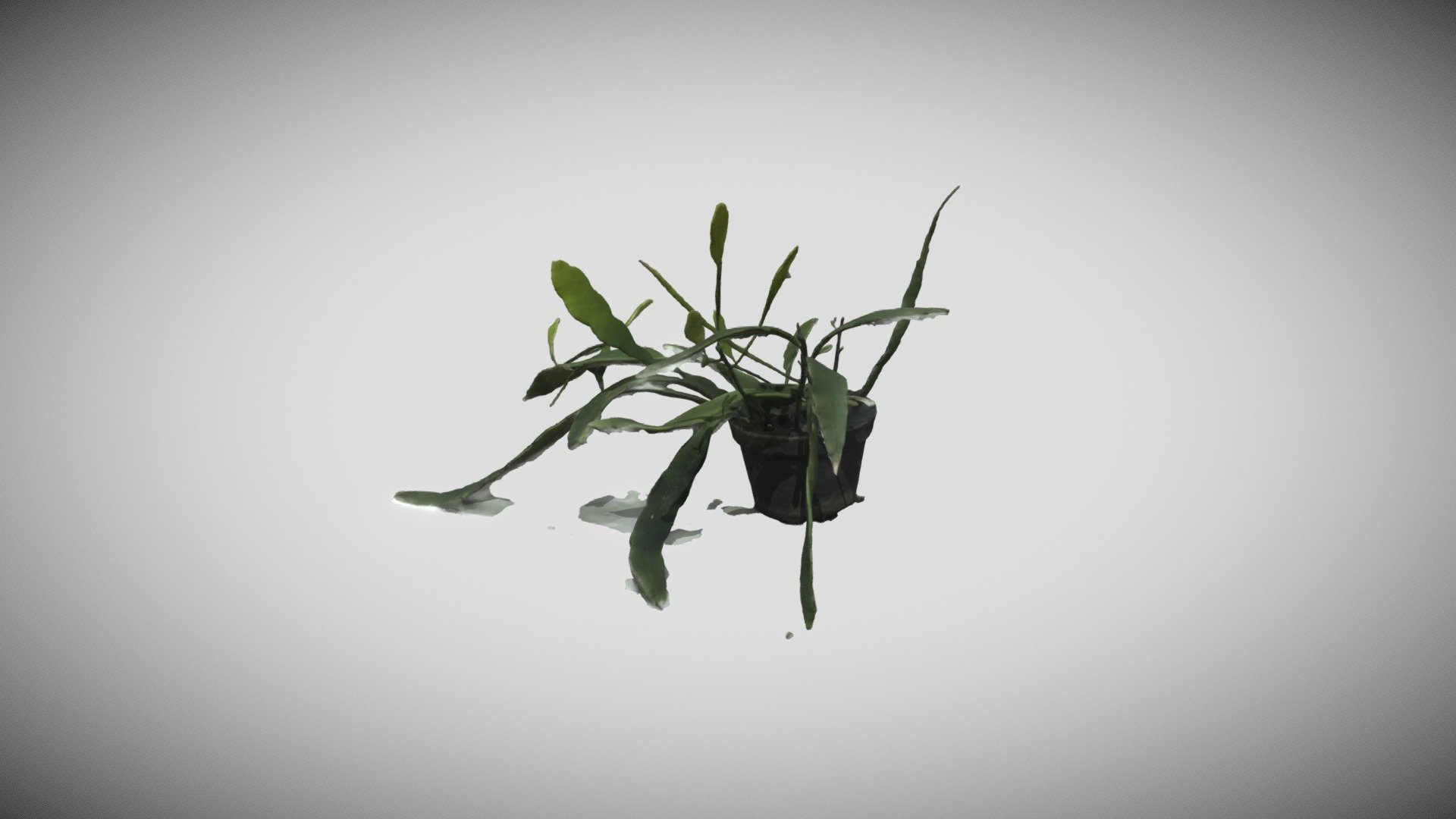 a plant in school - Download Free 3D model by inoviyan [98cf0ba ...
