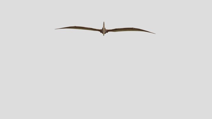 Flying Pterodactyl 3D Model