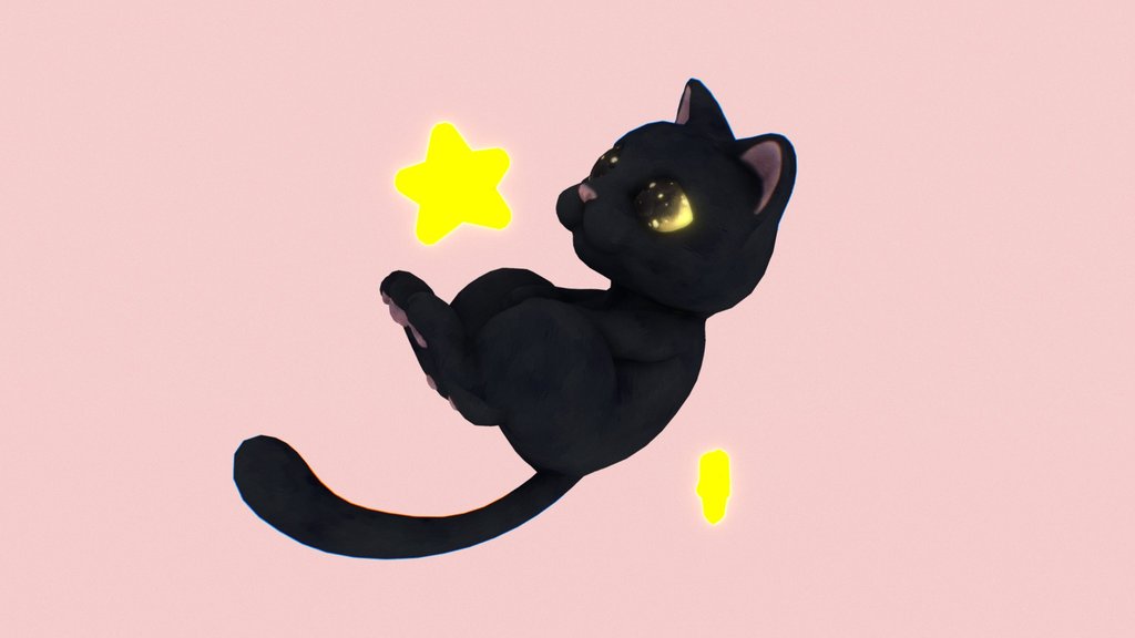Black cat