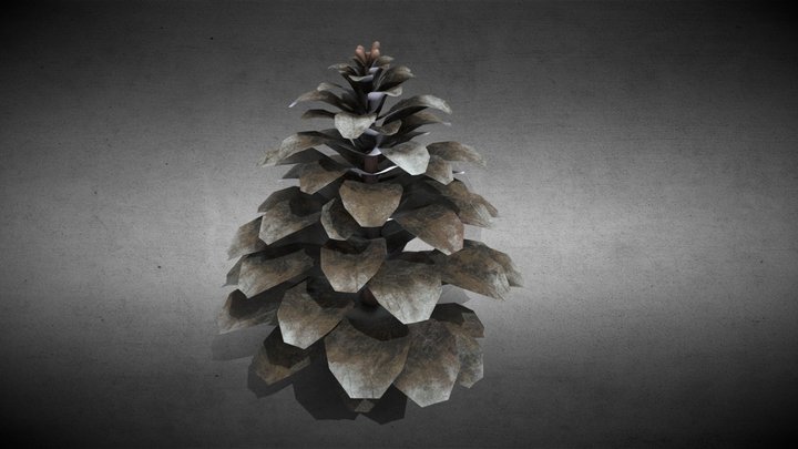 Pinecone – Modello 3D gratuito STL