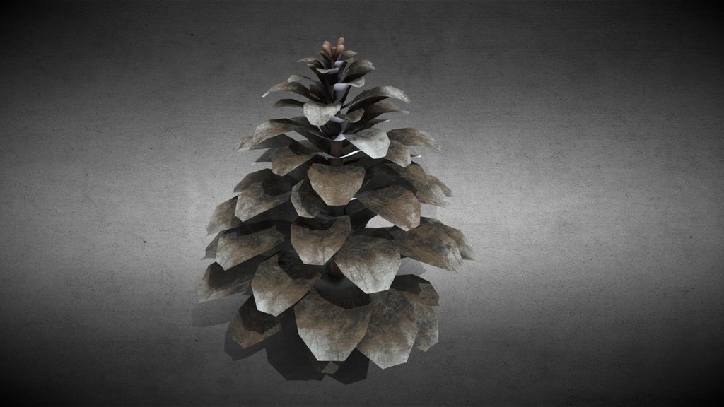 Pinecone