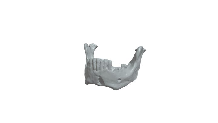 Mandible 3 3D Model