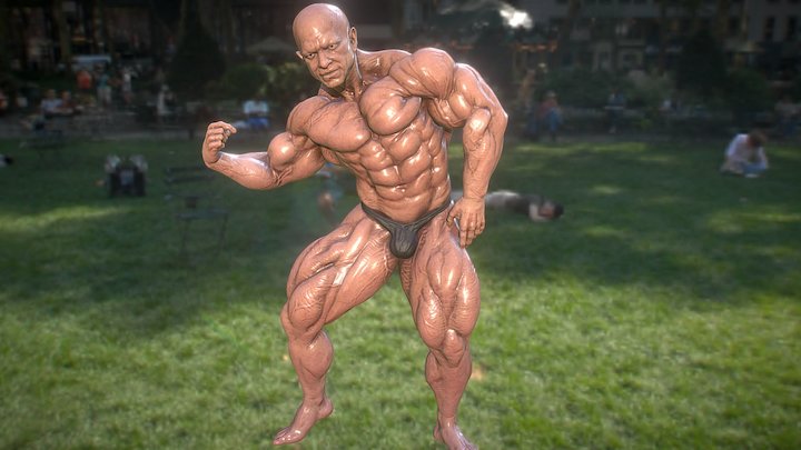 MuscleStudyWIP 3D Model