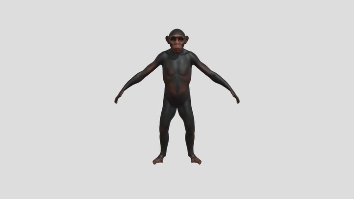 ape monkey character 3D Model