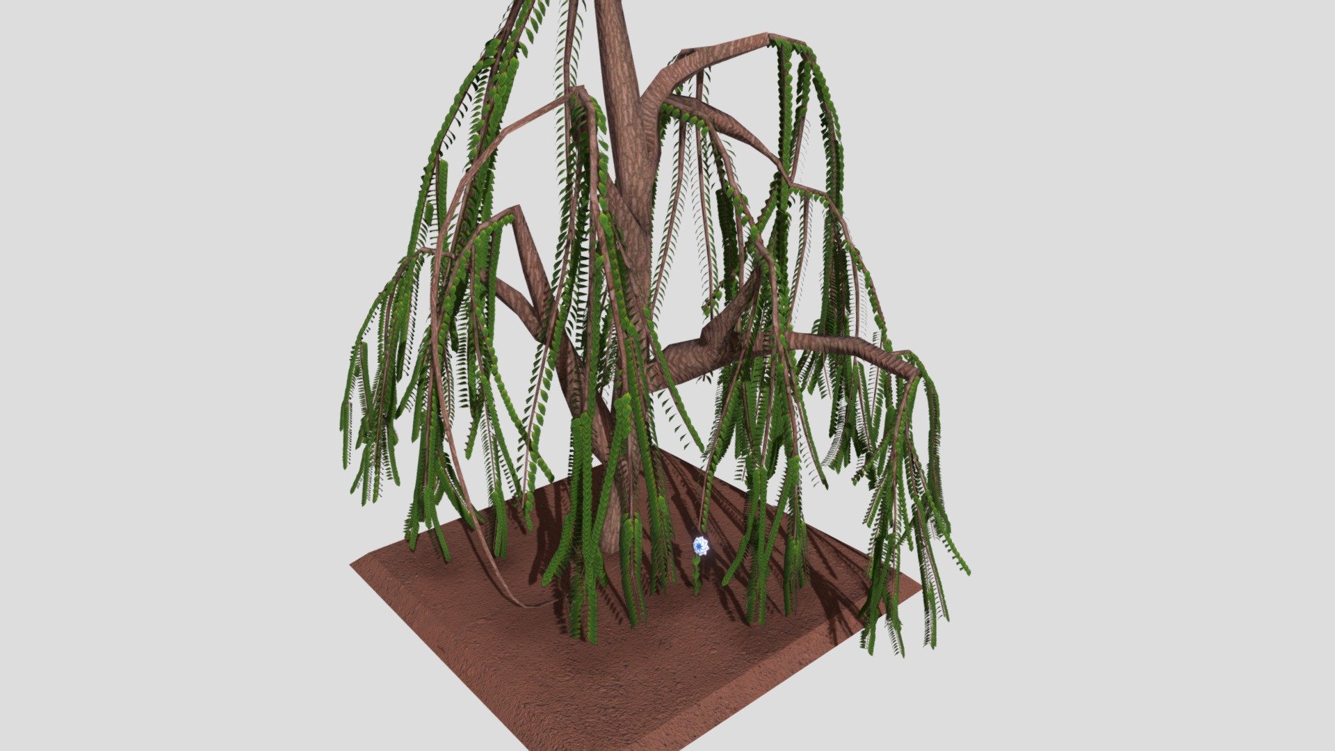 Week08 Plant Version 1