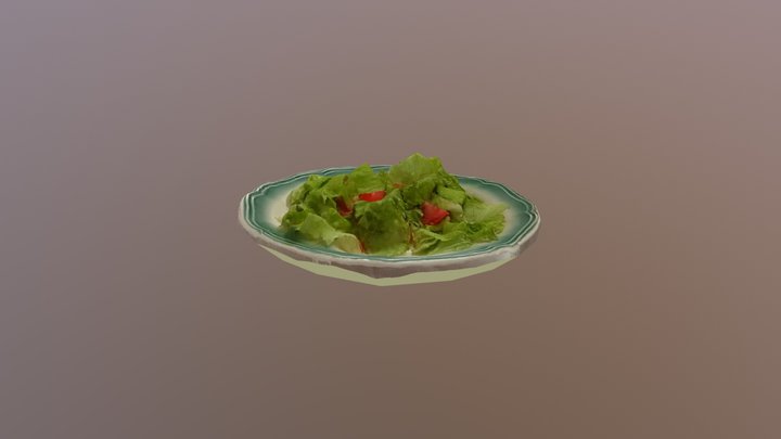 Salada 1 3D Model