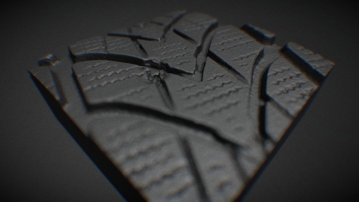 Tire Puncture 3D Model
