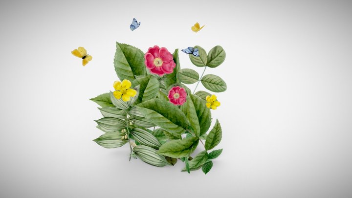 Plants and flowers for videogames 3D Model