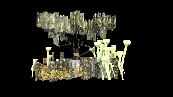 Lichen as a bioindicator 3D Model