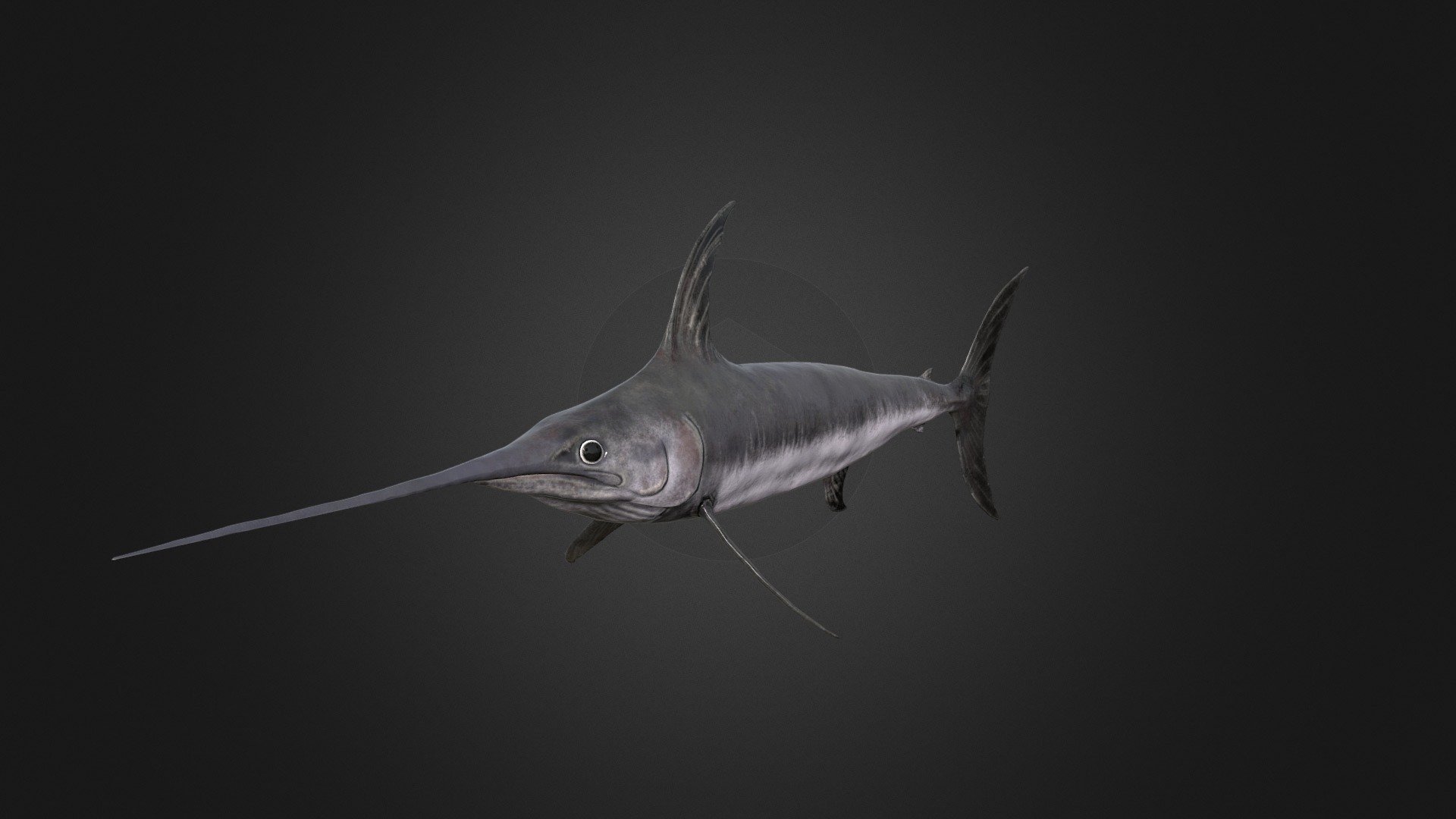 Swordfish Buy Royalty Free 3D model by Rifat3D [98ed611] Sketchfab