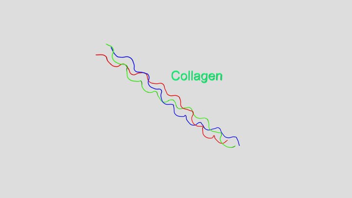 Collagen 3D Model