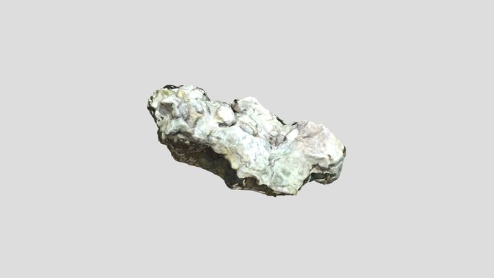 Rock2 3D Model