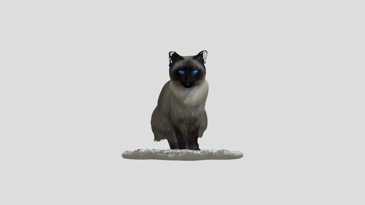 Confident Cat Counters 3D Model