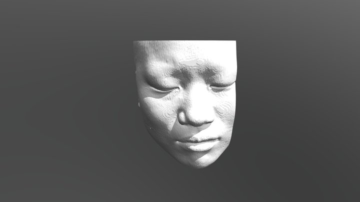 sinus and airway 바깥 모습 관찰 3D Model