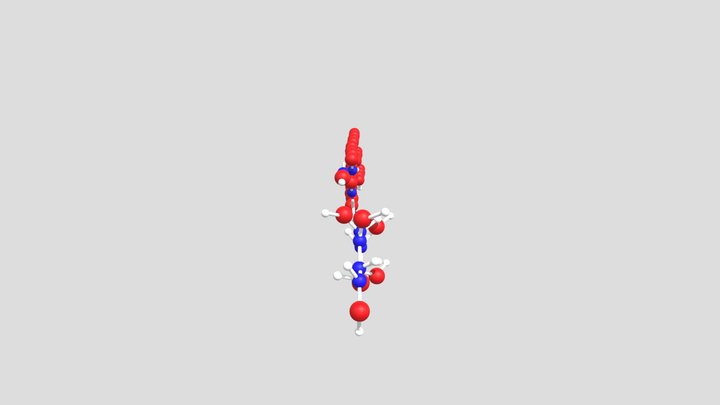 Cellular Respiration 3D Model