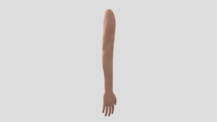 Richard 3D Model