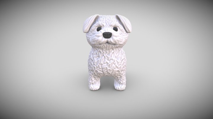 Maltese Dog 3D Model