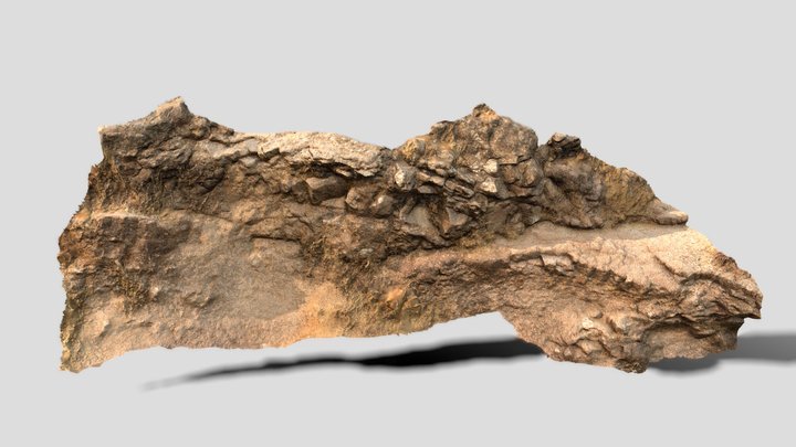 Rocky Hill Surface 3D Model
