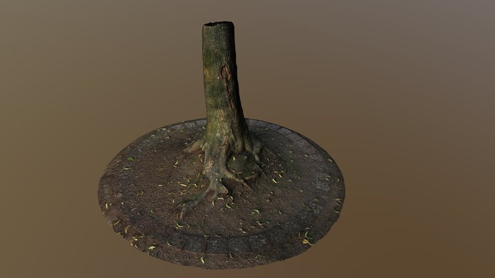 Tree Part 3D Model