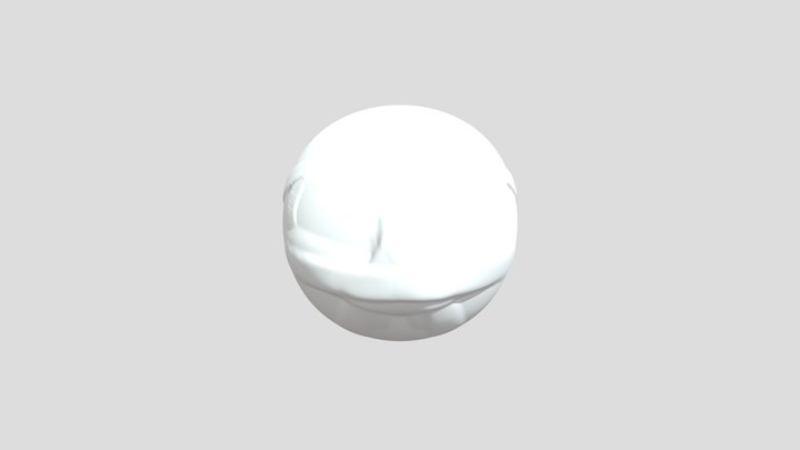 My model 3D Model