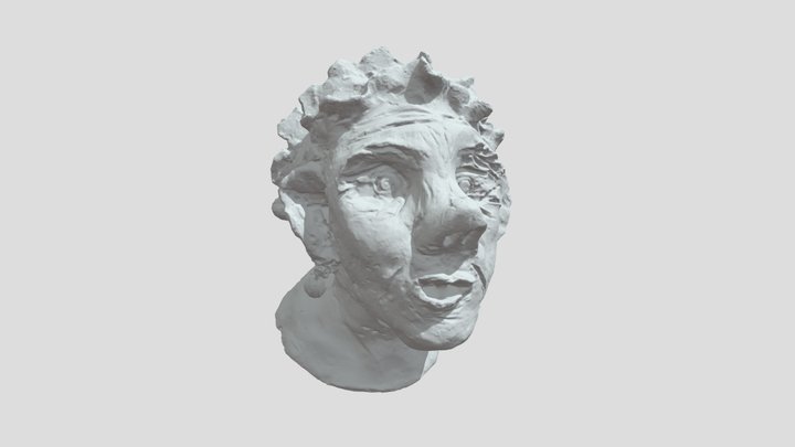 Kopf_2 ohne Textur 3D Model