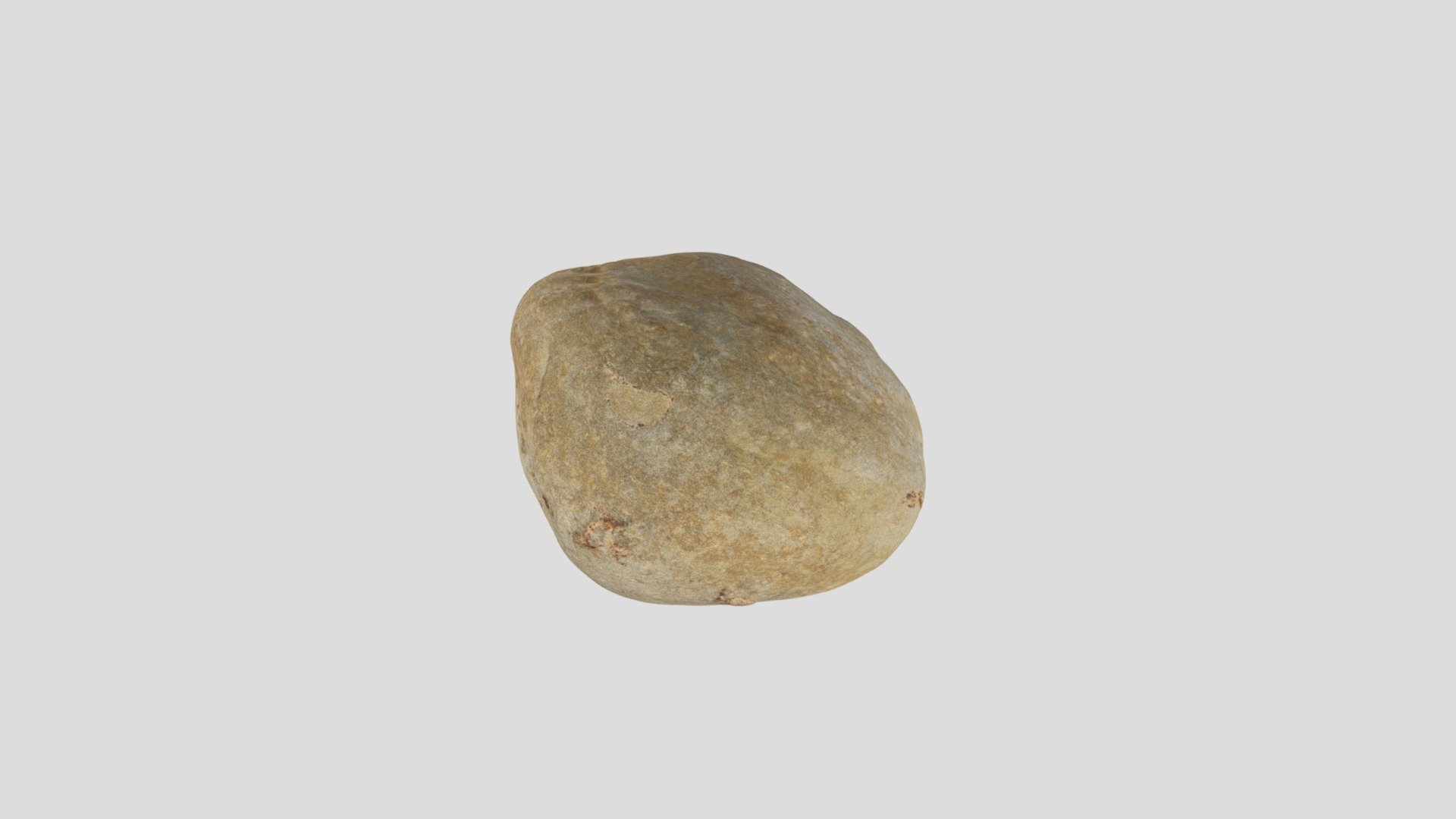 Possible fossil penguin in concretion