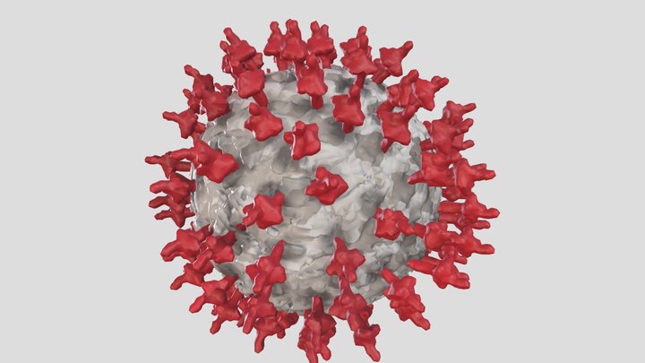 Coronavirus / COVID-19 / Virus 3D Model