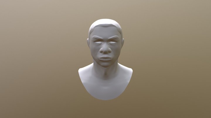 Finn's Face 3D Model