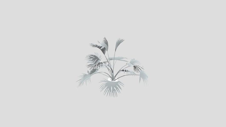 Chinese Palm Juv Plant Potted – Modelo 3D gratuito STL