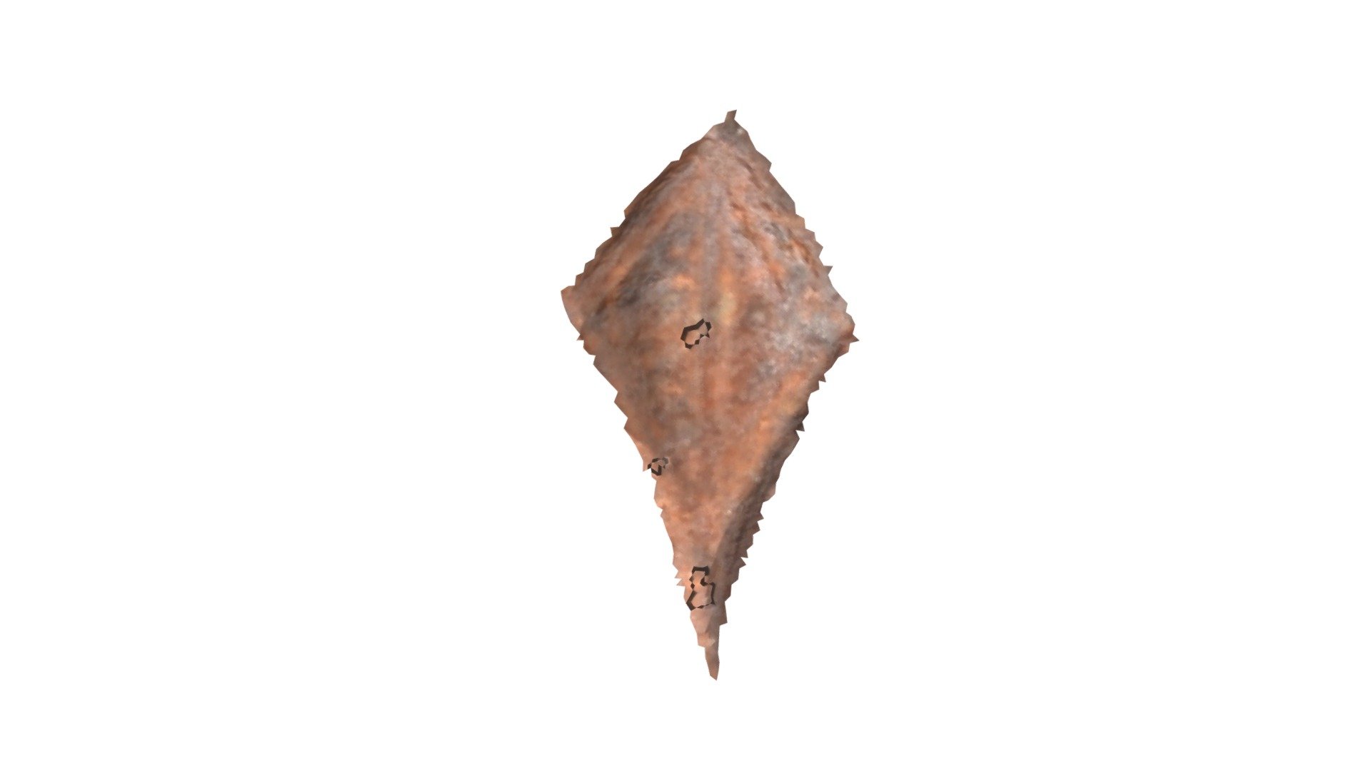 D12 - aurochs MNIR