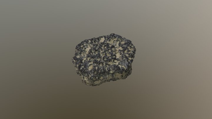 Placa de gliptodonte - Permineralización 3D Model