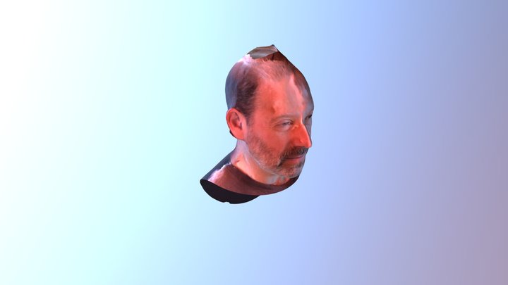 Bust4 3D Model