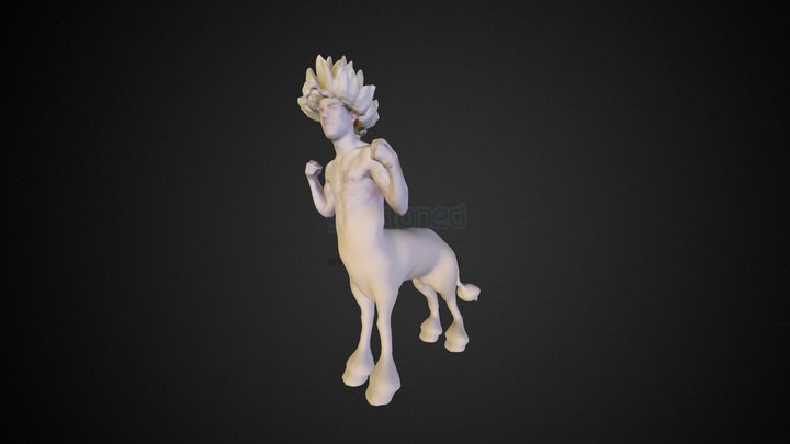 Human Horse 3D Model