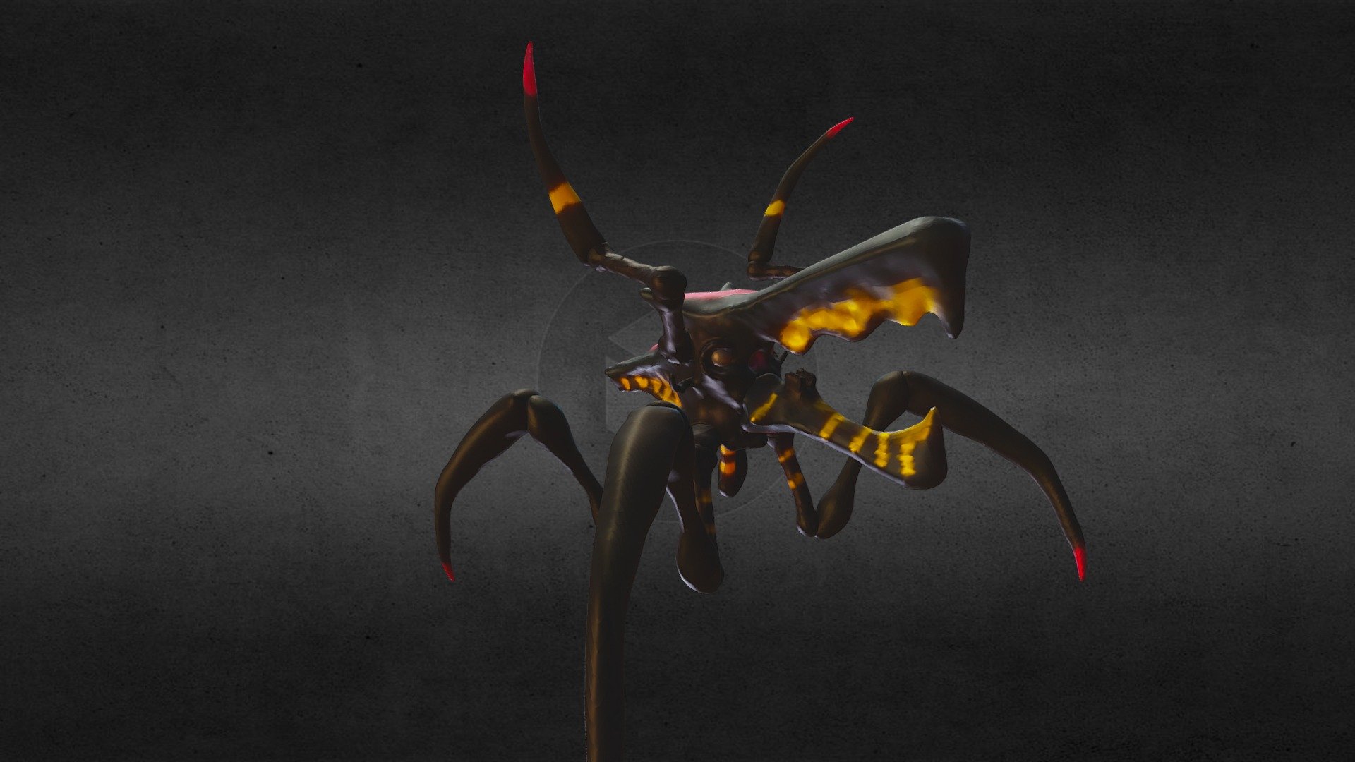 Onironauta VR 2019-03-22 ZWARRIOR