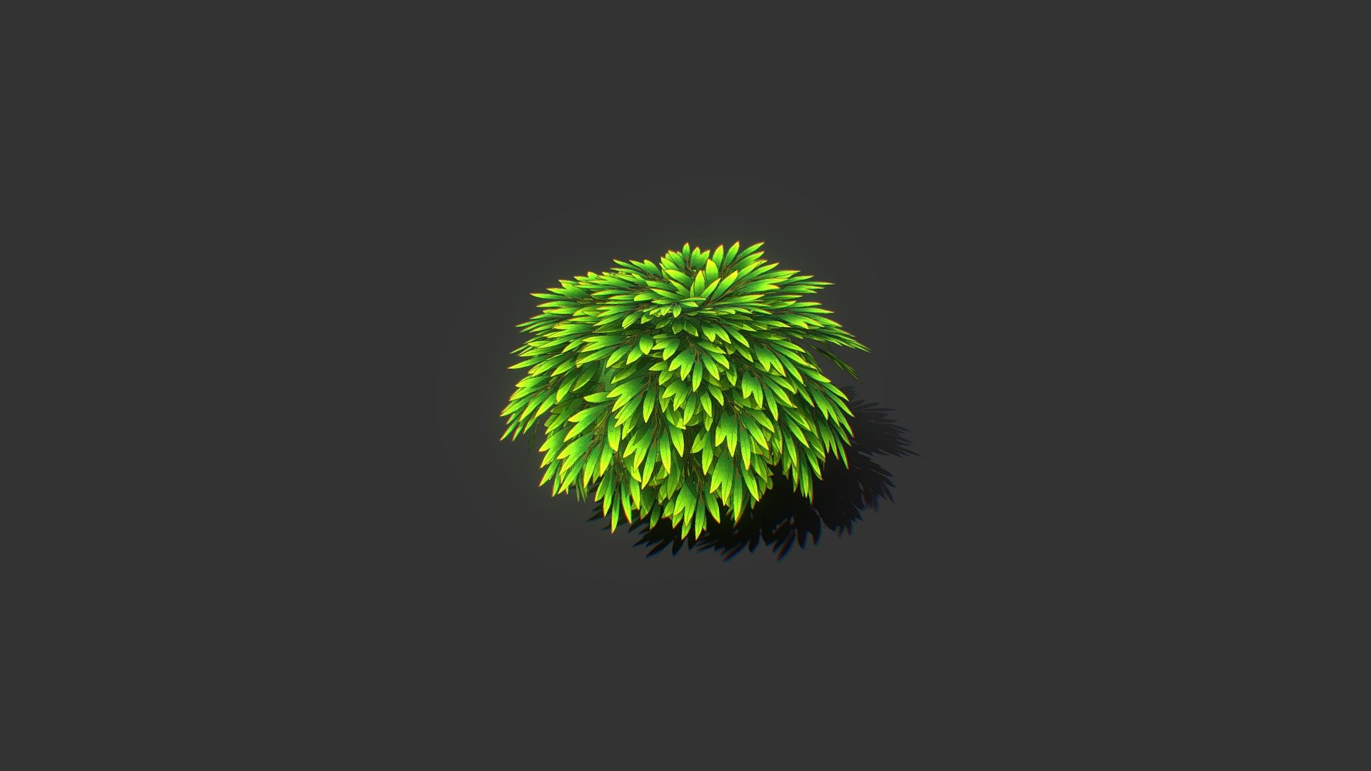 Seto2