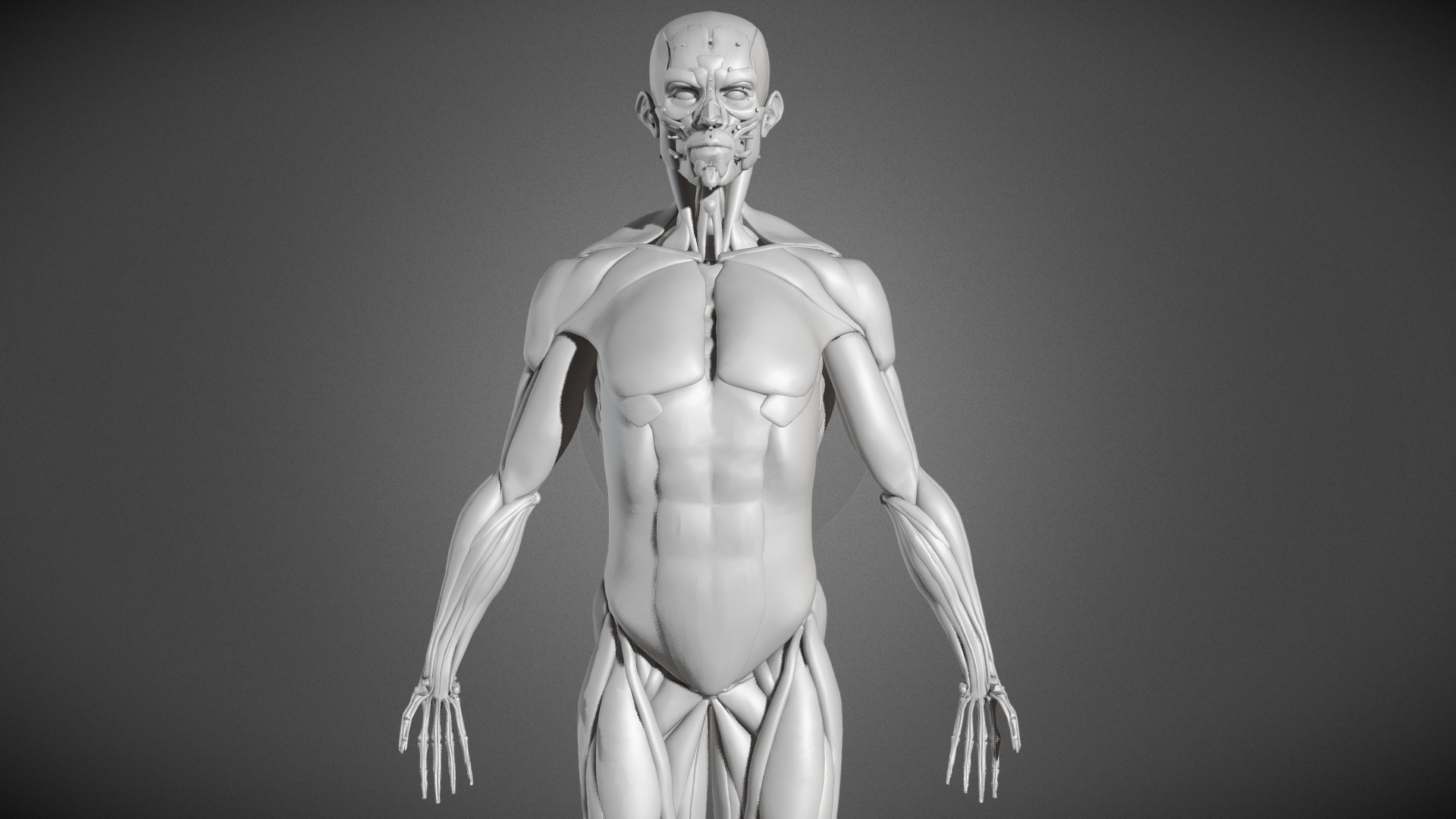 Naked Dreadlocks Virtual Anatomy Art Model