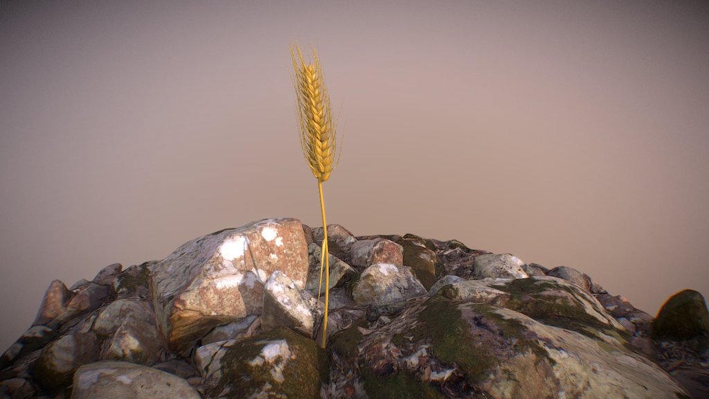 Survivol