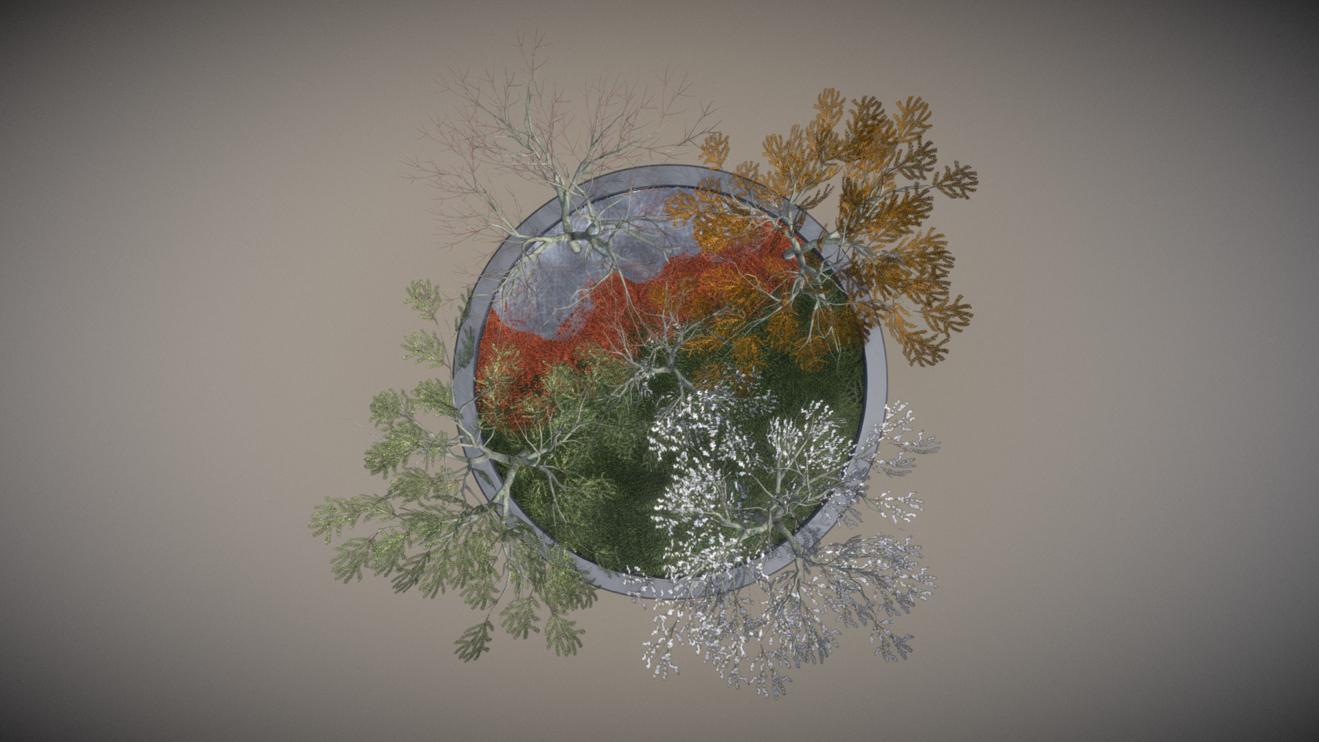 3D model Plum Trees All Seasons 8m - This is a 3D model of the Plum Trees All Seasons 8m. The 3D model is about a globe with a tree in it.