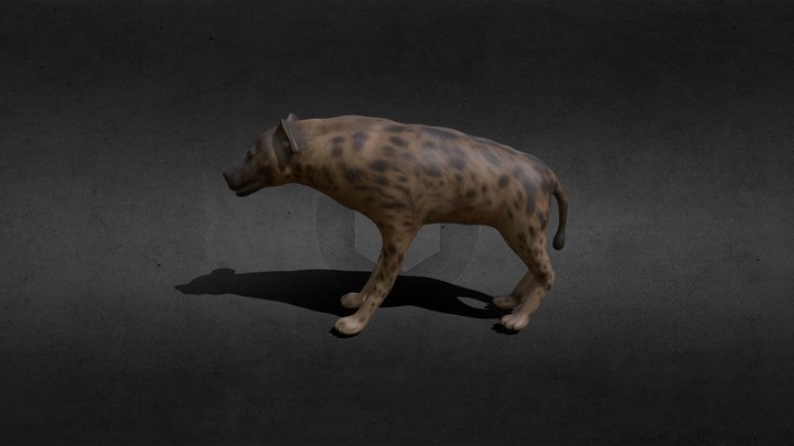 hyena 3D Model