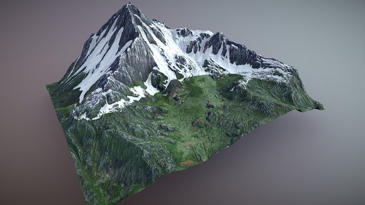 Evergreen Mountain Slopes 3D Model
