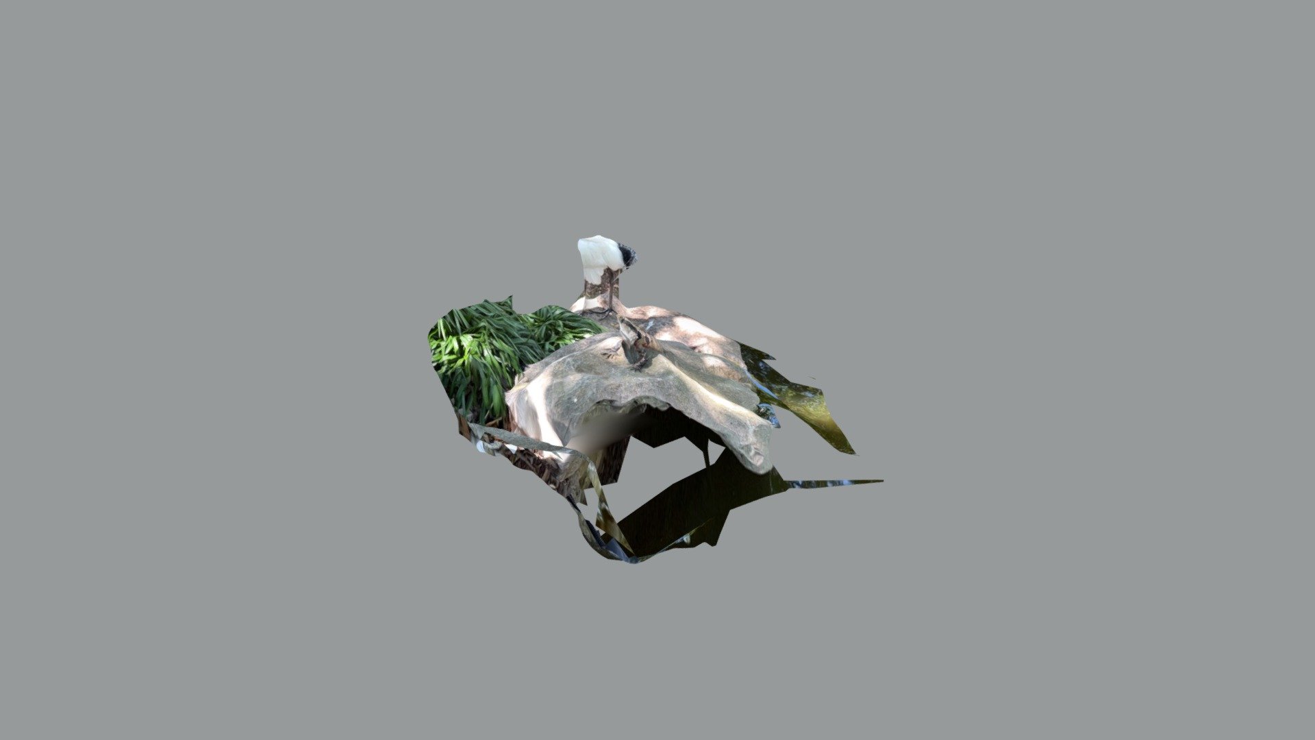 Lizard Quick Scan
