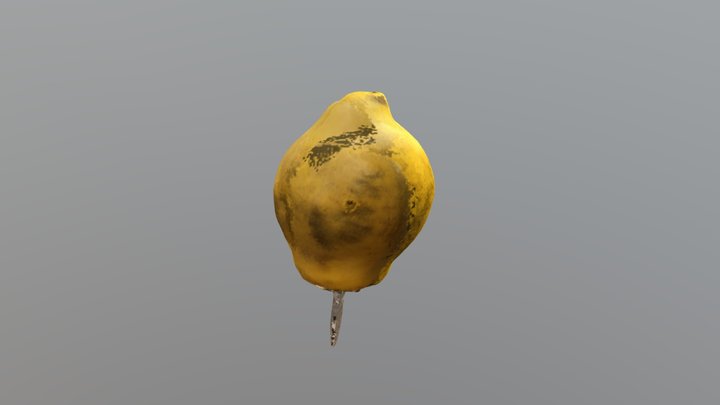 Apple 3D Model