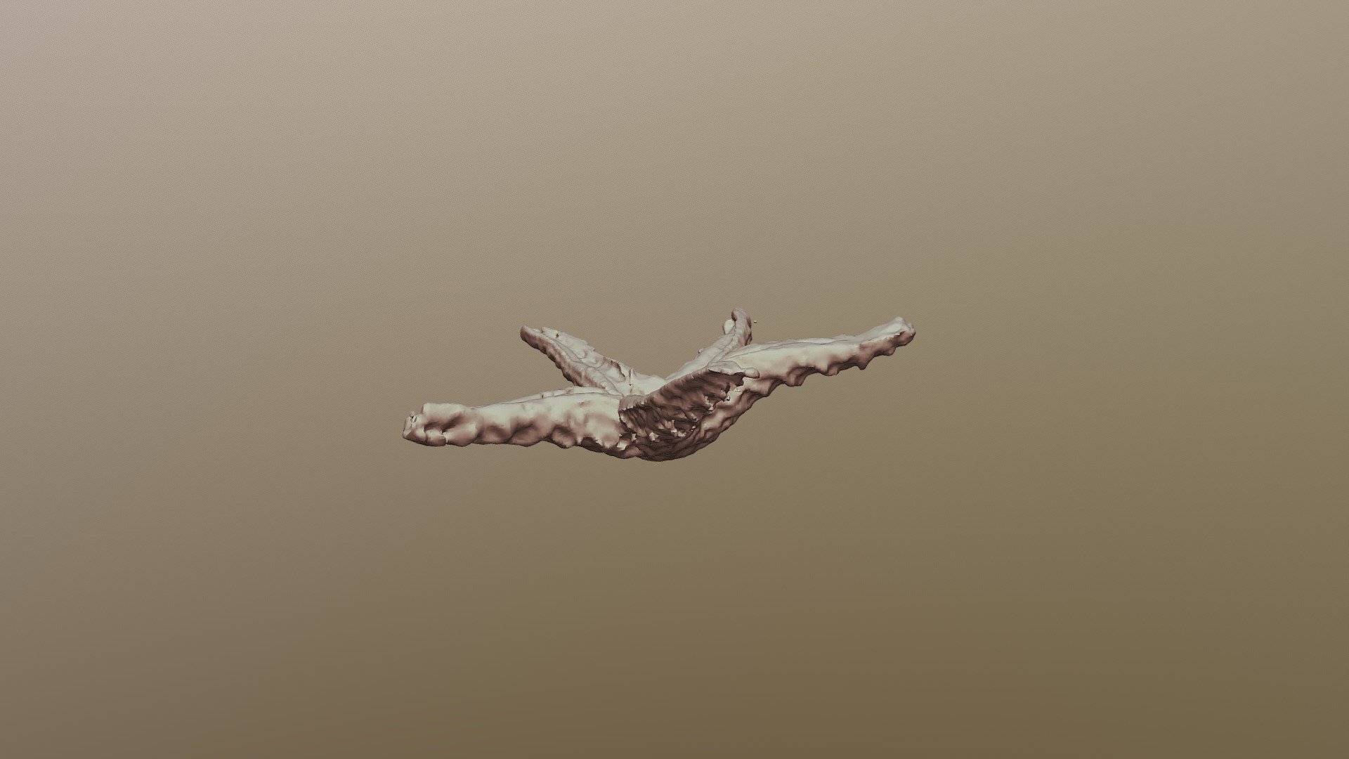 Starfish 7783