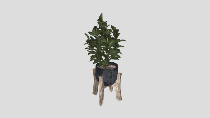 Ficus Plant – Modèle 3D gratuit STL